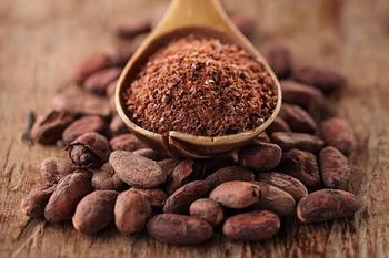Cocoa Beans - Wyld Traders - Uganda
